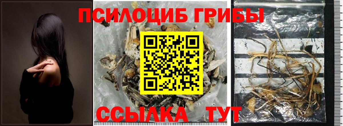 Жигулёвск  Псилоцибиновые грибы GOLDEN TEACHER  Вход с VPN 
